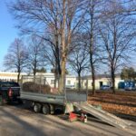 Grünauer Dienstleistungs OG - Laub entfernen