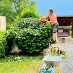 Grünauer Dienstleistungs OG - Heckenschneiden