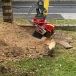 Grünauer Dienstleistungs OG