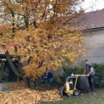 Grünauer Dienstleistungs OG - Laub entfernen