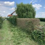 Grünauer Dienstleistungs OG - Heckenschneiden