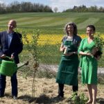 Grünauer Dienstleistungs OG - Obstbäume pflanzen
