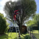 Grünauer Dienstleistungs OG