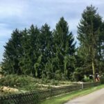Grünauer Dienstleistungs OG