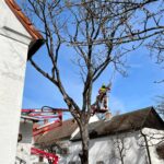 Grünauer Dienstleistungs OG