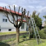 Grünauer Dienstleistungs OG