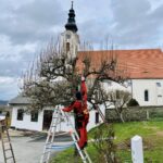 Grünauer Dienstleistungs OG