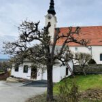 Grünauer Dienstleistungs OG