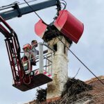 Grünauer Dienstleistungs OG