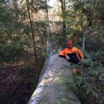 Grünauer Dienstleistungs OG