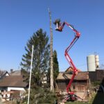 Grünauer Dienstleistungs OG