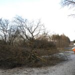 Grünauer Dienstleistungs OG