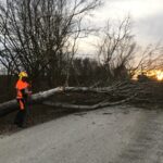 Grünauer Dienstleistungs OG
