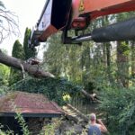 Grünauer Dienstleistungs OG